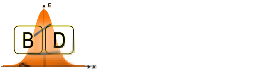 the basketball distribution